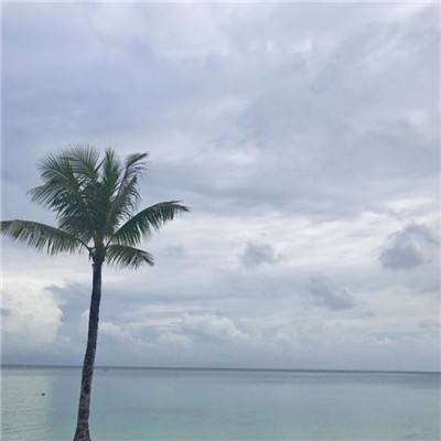 绝世无双ol手游下载